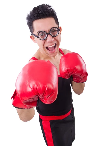 Boxer drôle isolé sur le fond blanc — Photo