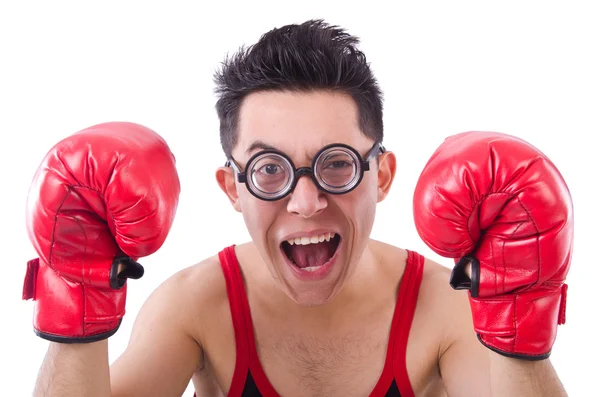 Boxer drôle isolé sur le fond blanc — Photo