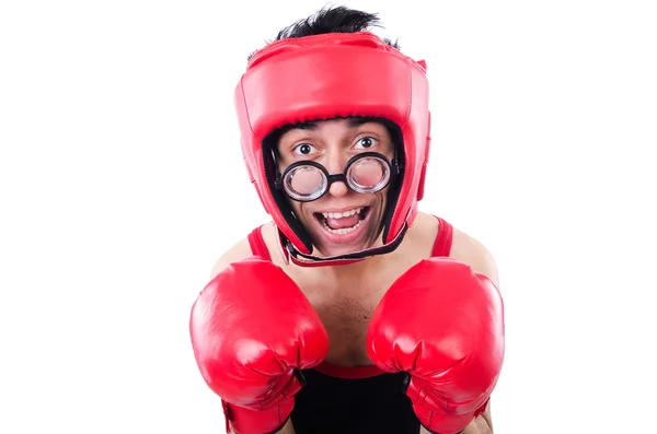 Boxer engraçado isolado no fundo branco — Fotografia de Stock