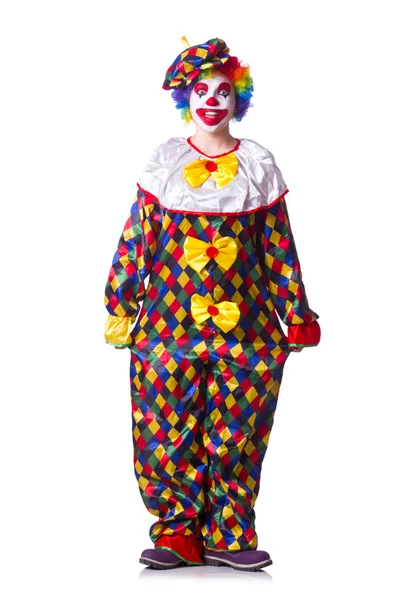 Clown in costume isolato su bianco — Foto Stock