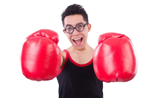 Boxer drôle isolé sur le fond blanc — Photo