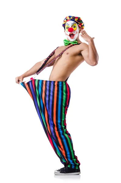Lustiger Clown isoliert auf weiß — Stockfoto