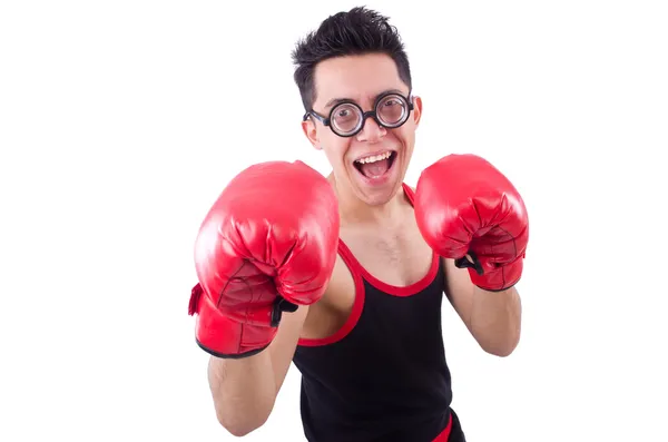 Boxer drôle isolé sur le fond blanc — Photo