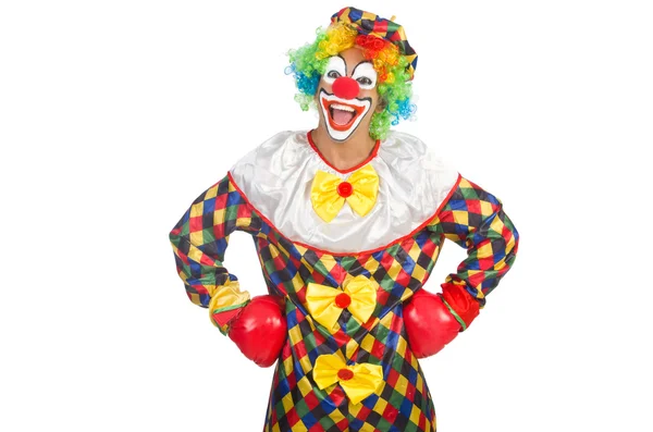 Clown met bokshandschoenen — Stockfoto