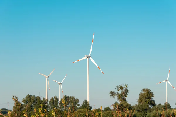 Windmolens tijdens heldere zomerdag — Stockfoto