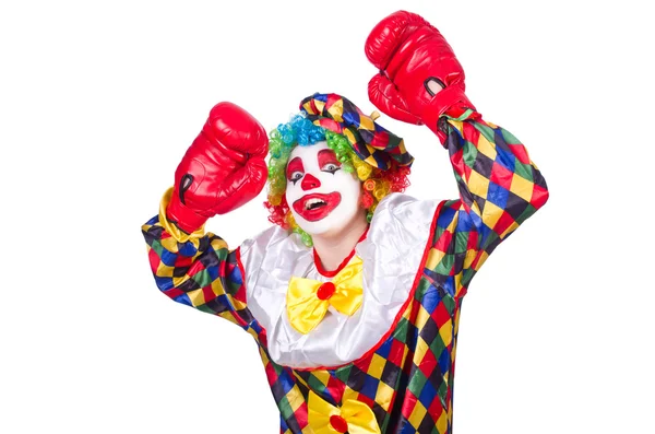 Clown con i guanti da boxe — Foto Stock