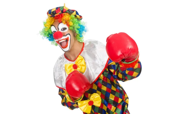 Clown con i guanti da boxe — Foto Stock