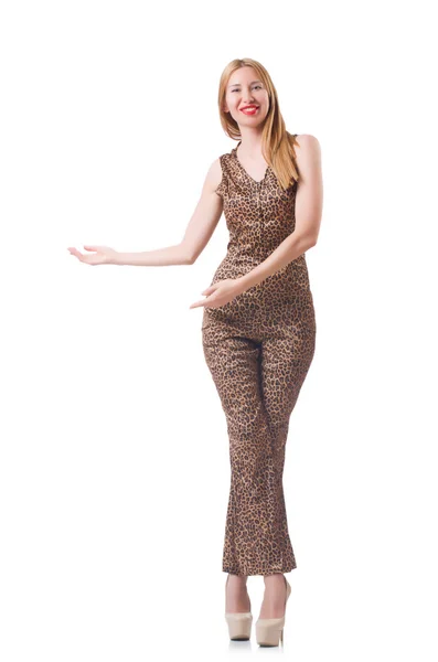 Vrouwelijke model in tijger kleding — Stockfoto
