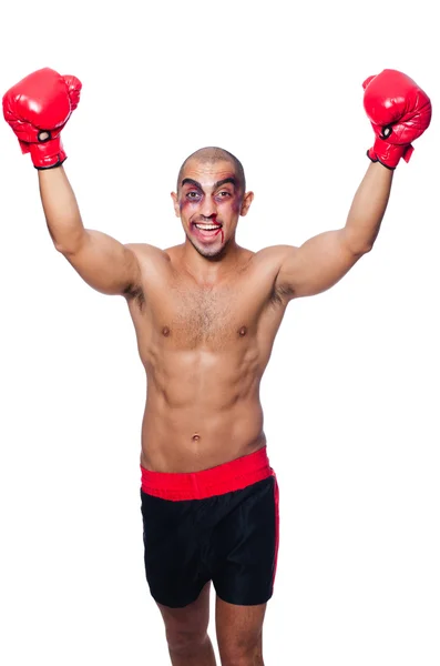 Çok kötü dayak yemiş boksör — Stok fotoğraf
