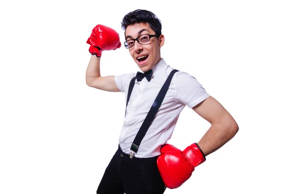 Zabawny bokser odizolowany na białym tle — Zdjęcie stockowe