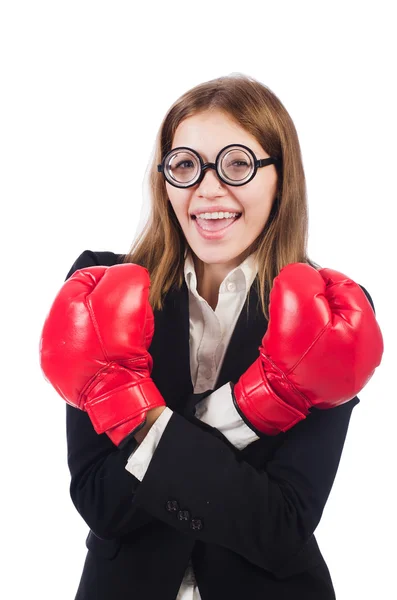 Boxer engraçado isolado em branco — Fotografia de Stock