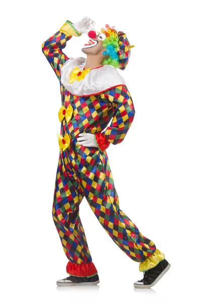 Grappige clown geïsoleerd op wit — Stockfoto