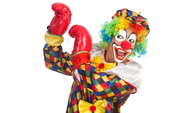 Clown with boxing gloves isolated on white — Stock Photo, Image