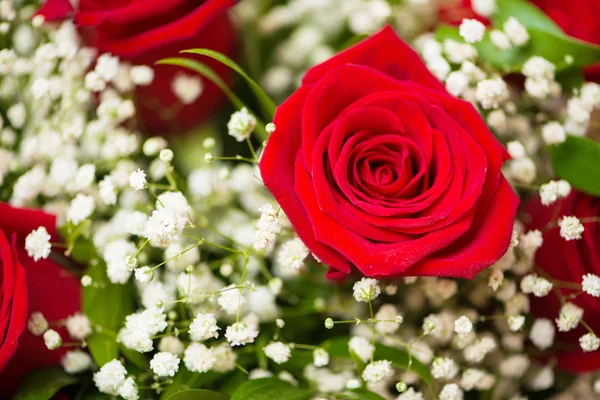 Schöne Rosen im Festkonzept — Stockfoto