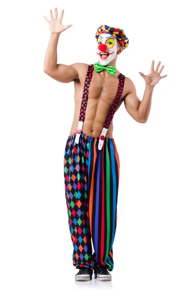 Funny clown isolated on white — Stock Photo, Image