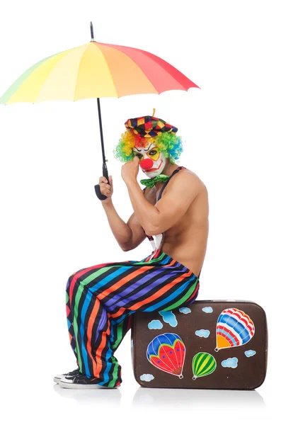 Funny clown isolated on the white — Stock Photo, Image