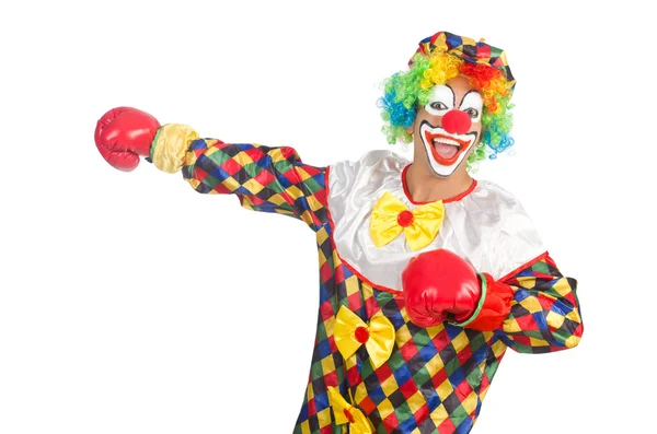 Clown con guantoni da boxe isolati su bianco — Foto Stock