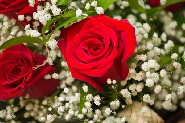 Bonitas rosas en concepto de celebración — Foto de Stock