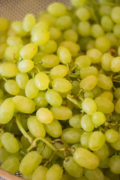 Uvas verdes no conceito de alimentação saudável — Fotografia de Stock