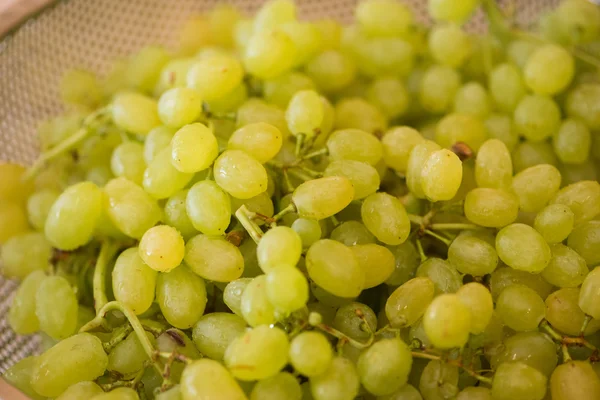 Uvas verdes en concepto de alimentación saludable — Foto de Stock