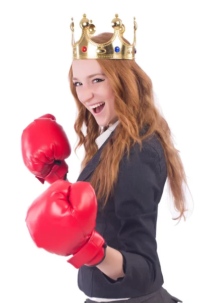 Rainha boxer empresária isolada em branco — Fotografia de Stock