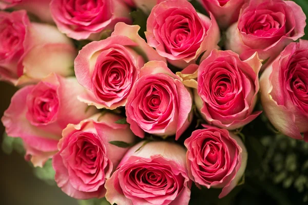 Belas rosas no conceito de celebração — Fotografia de Stock