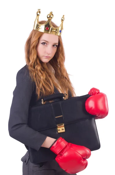 Rainha boxer empresária isolada em branco — Fotografia de Stock