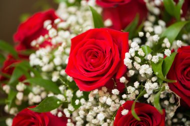 Kutlama konseptinde güzel güller