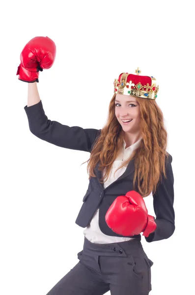 Rainha boxer empresária isolada em branco — Fotografia de Stock