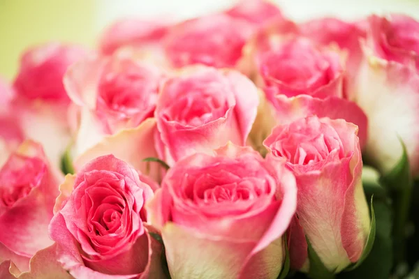 Bonitas rosas en concepto de celebración — Foto de Stock