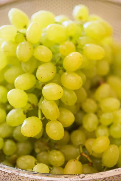 Uvas verdes en concepto de alimentación saludable — Foto de Stock