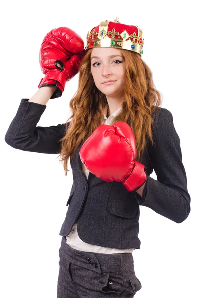 Rainha boxer empresária isolada em branco — Fotografia de Stock