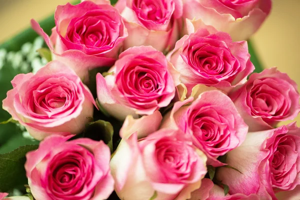 Nice roses in celebration concept — Stock Photo, Image