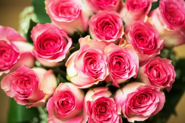 Kutlama konseptinde güzel güller