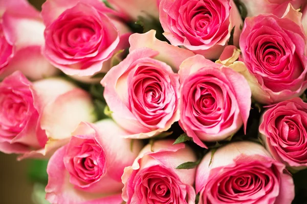 Ładne róże w koncepcji świętowania — Zdjęcie stockowe