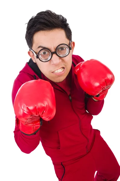 Funny boxer — Stock Photo, Image