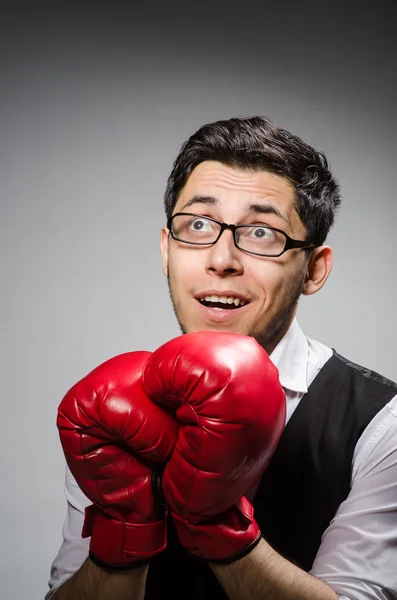 Divertido boxeador empresario en concepto de deporte —  Fotos de Stock