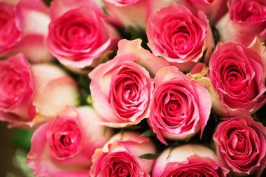 Kutlama konseptinde güzel güller