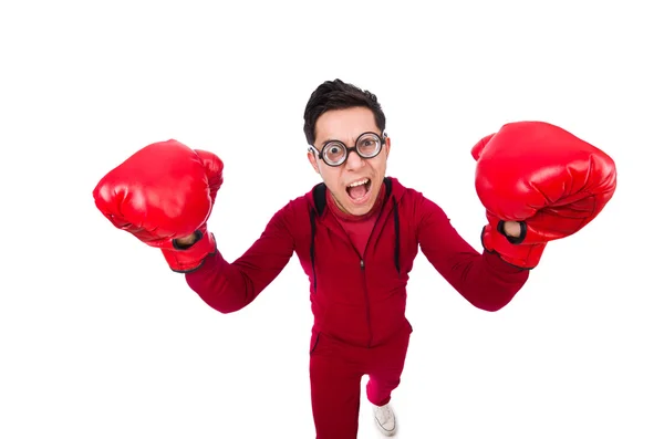 Funny boxer — Stock Photo, Image