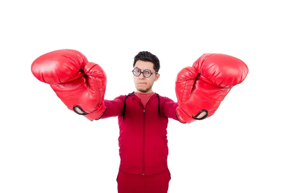 Funny boxer — Stock Photo, Image