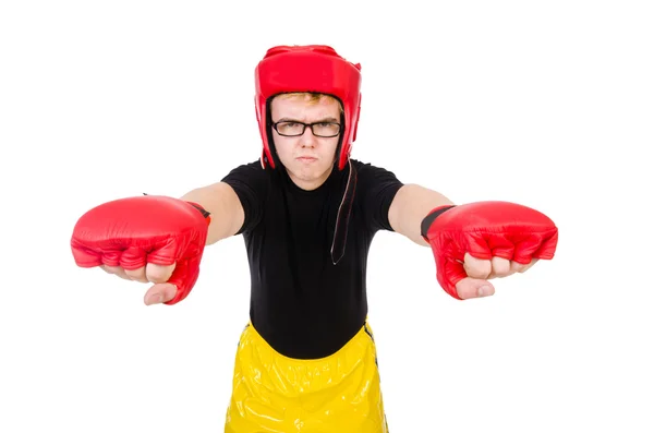 Śmieszne bokser — Zdjęcie stockowe