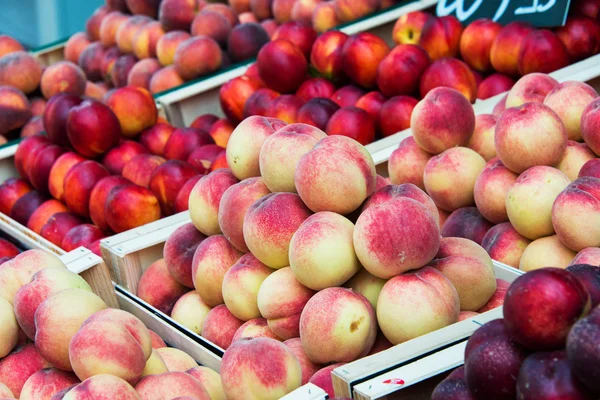 Nectarines and peaches — Stock Photo, Image