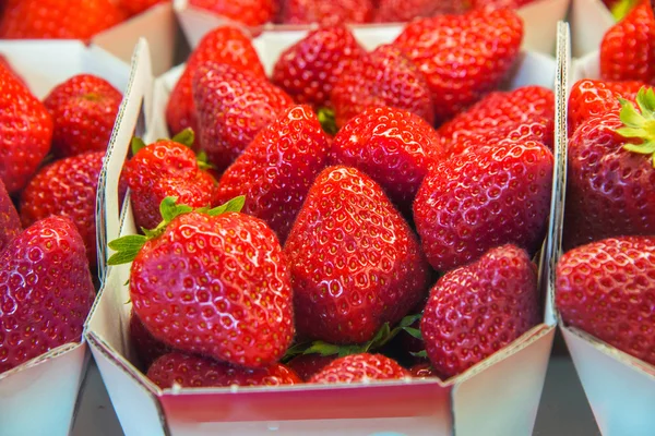 Erdbeeren in Schachteln — Stockfoto