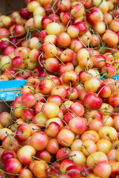 Cherries on sale — Stock Photo, Image