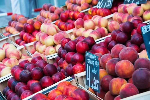 Nektariner och persikor — Stockfoto