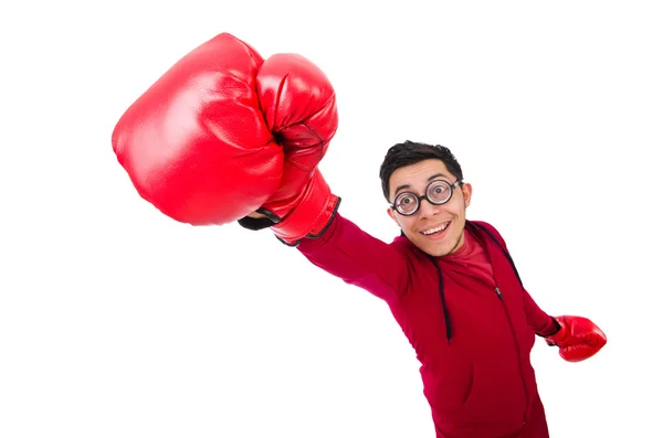 Funny boxer — Stock Photo, Image