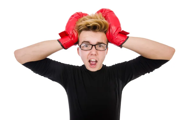 Funny boxer — Stock Photo, Image