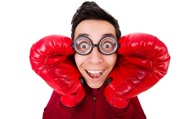 Funny boxer — Stock Photo, Image