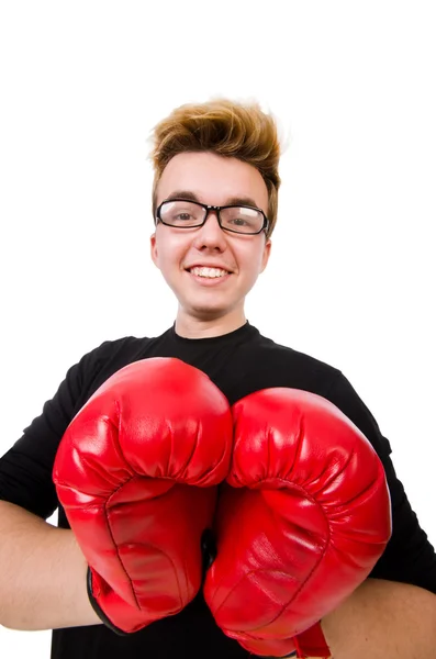 Смешной боксер — стоковое фото