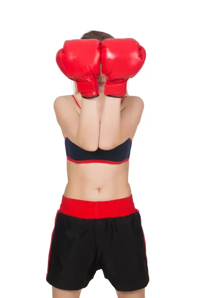 Mulher Boxer — Fotografia de Stock